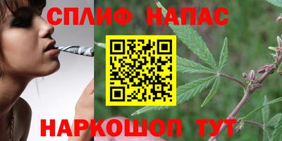 гашик Гусиноозёрск