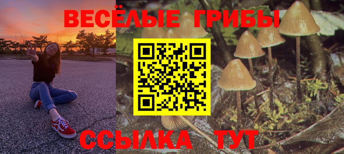 Галлюциногенные грибы мицелий Минеральные Воды