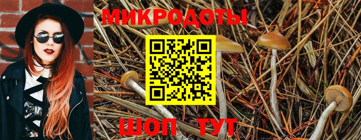 Псилоцибиновые грибы мухоморы  Вход с VPN  Минеральные Воды 